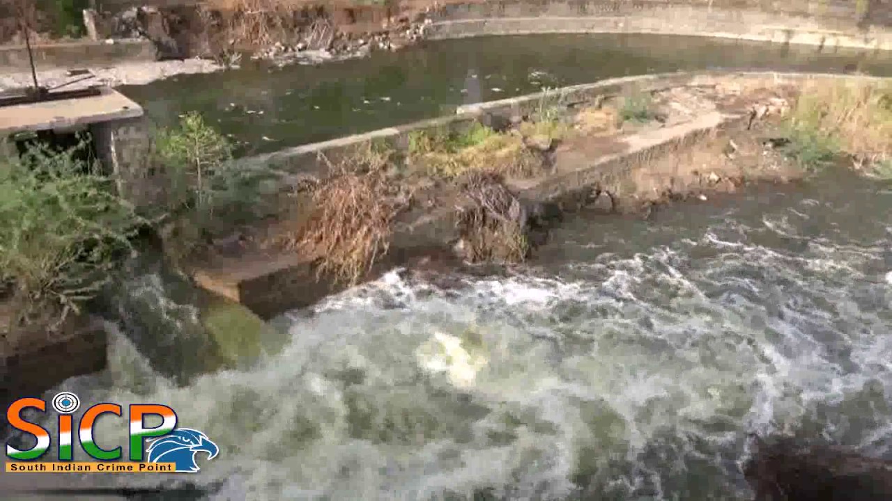 Amaravathi water reaches Karur YouTube