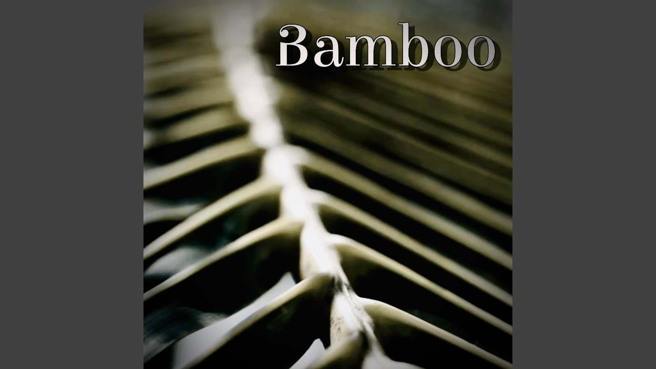 Watch Bamboo on YouTube Watch Bamboo on YouTube