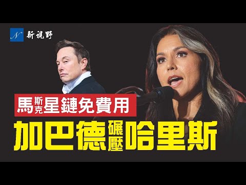 哈里斯炒作国家公墓事件，加巴德与金星家属犀利反击。川普民调反转。对抗巴西封杀X，马斯克让星链在巴西免费用。马斯克哈里斯川普