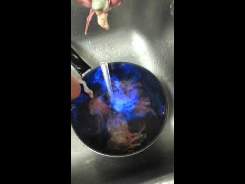 Bioluminescent Shrimp (Rare)