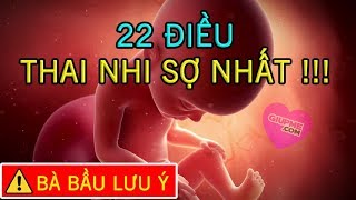 22 Điều Thai Nhi Sợ Nhất Bà Bầu Cần Biết Khi Chăm Sóc Thai Nhi [GiupMe.com] screenshot 2