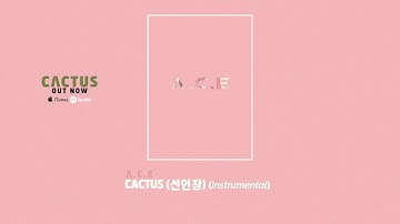 A.C.E(에이스) - 선인장(CACTUS) Instrumental