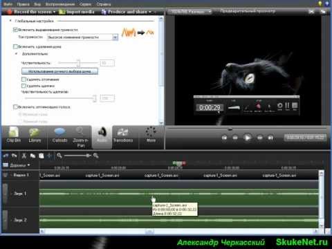 Camtasia Studio 7 - Видеоурок 7 - Часть 2/2 - Работа со звуком (Audio). Working with sound