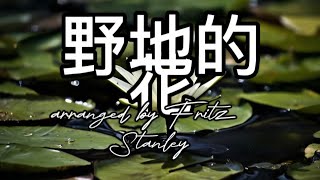 野地的花 (Bunga Bakung dengan Warna yang Indah) Karaoke with Lyrics