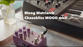 Ambient Improvisation with Moog Matriarch and Chasebliss MOOD mkII 🎧