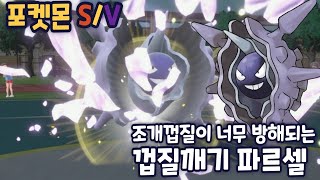 [포켓몬스터 스칼렛/바이올렛] 12년째 한결같은 기합의띠 파르셀