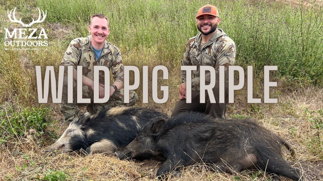 Hunting Wild Pigs in California HER FIRST WILD PIG! YouTube