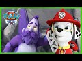 Los cachorros salvan a un Humsquatch - PAW Patrol Episodio Español - Pup Tales