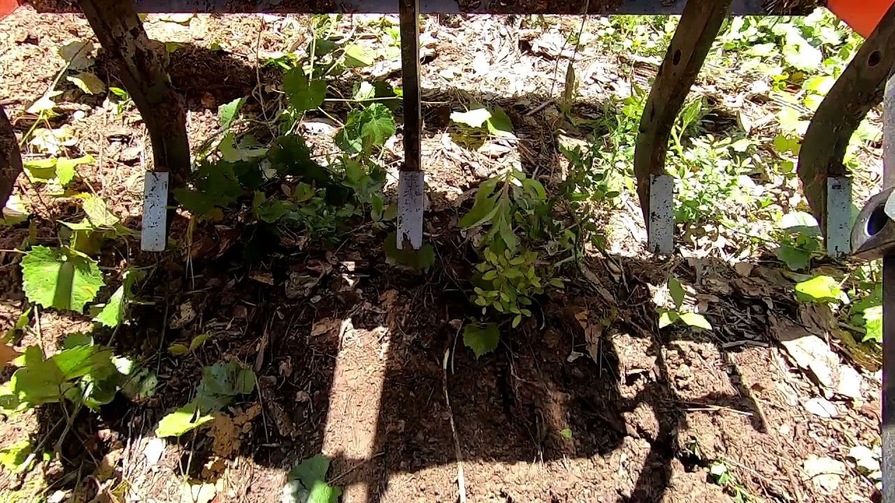 Kubota L2501 Ripping Roots