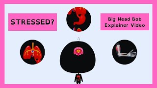 Cracking the Code of Stress | What Really Happens in Our Bodies? | Big Head Bob Explainer