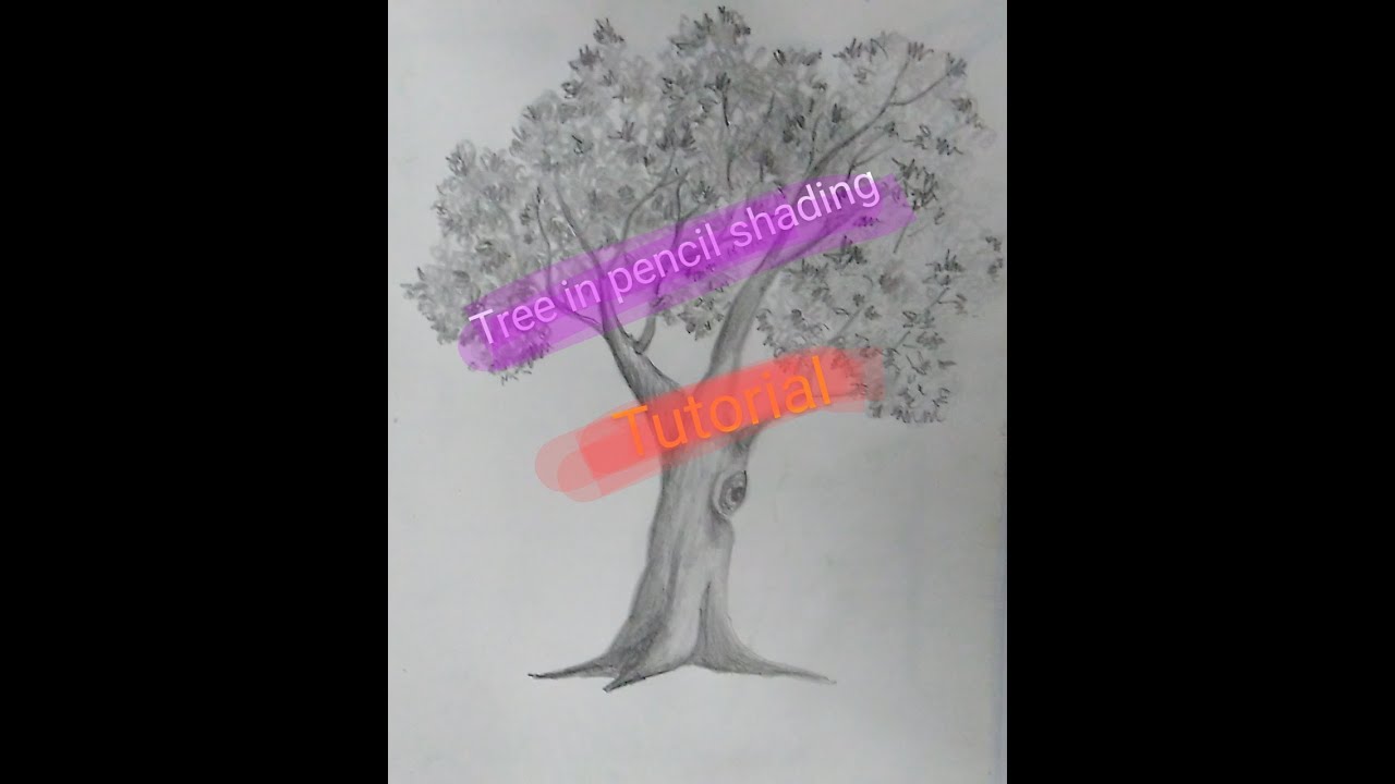 Tree in pencil shading tutorial Part 1 YouTube