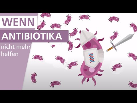 Video: Wirkt die doppelte Gabe von Antibiotika?