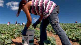 Fingers To The Bone Child Farmworkers In The United States