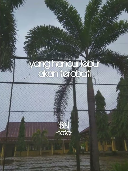 Snap wa #yang patah tumbuh yang hilang berganti