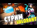 CТРИМ VALORANT 🔥ПОБЕЖДАЕМ КАТКИ🔥ЖДЕМ РАНГИ