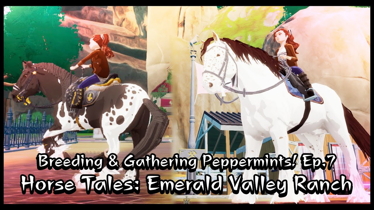 [Horse Tales Emerald Valley Ranch] Breeding Horses & Productive Way To