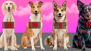 From Most Owned To Almost Extinct Dog Breeds By Population