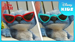 Download Lagu Spot the Difference | Level: EASY | Lilo \u0026 Stitch | @disneykids MP3 Download Lagu Spot the Difference | Level: EASY | Lilo \u0026 Stitch | @disneykids MP3