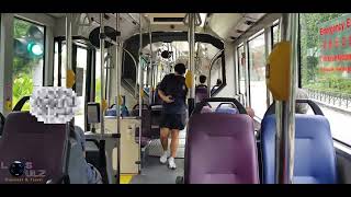 SMB8012Z, MAN NG363F onboard SMRT Trunk Service 190