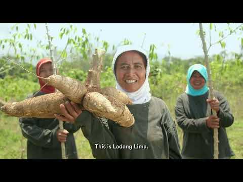 Ladang Lima
