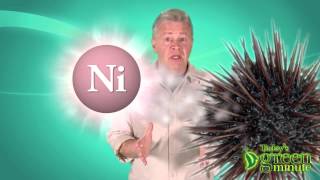 Sea Urchins Show How To Capture C02 | Video