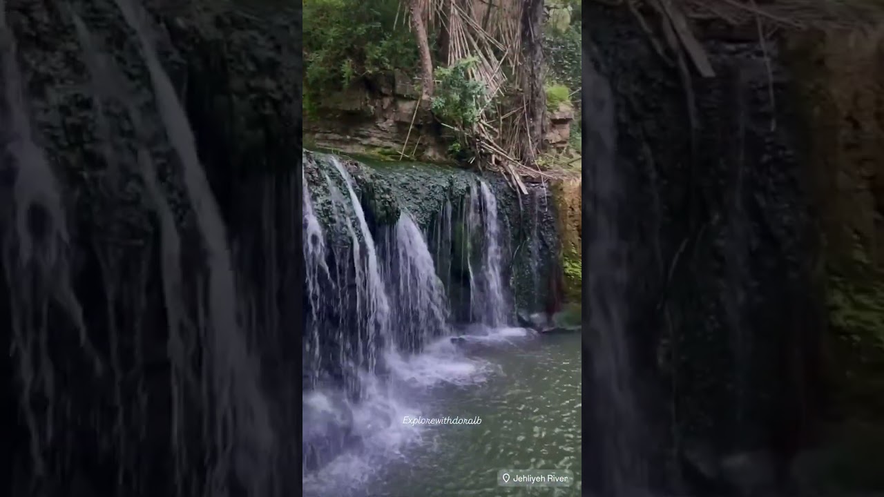 The astonishing nature of 