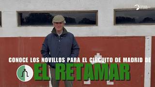 Conoce La Ganadería El Retamar