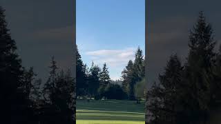 Butter Cut middle fairway #golfswing #taylormade #pure