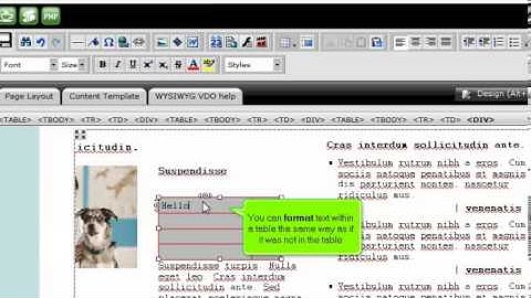 Creating tables in RVSiteBuilder