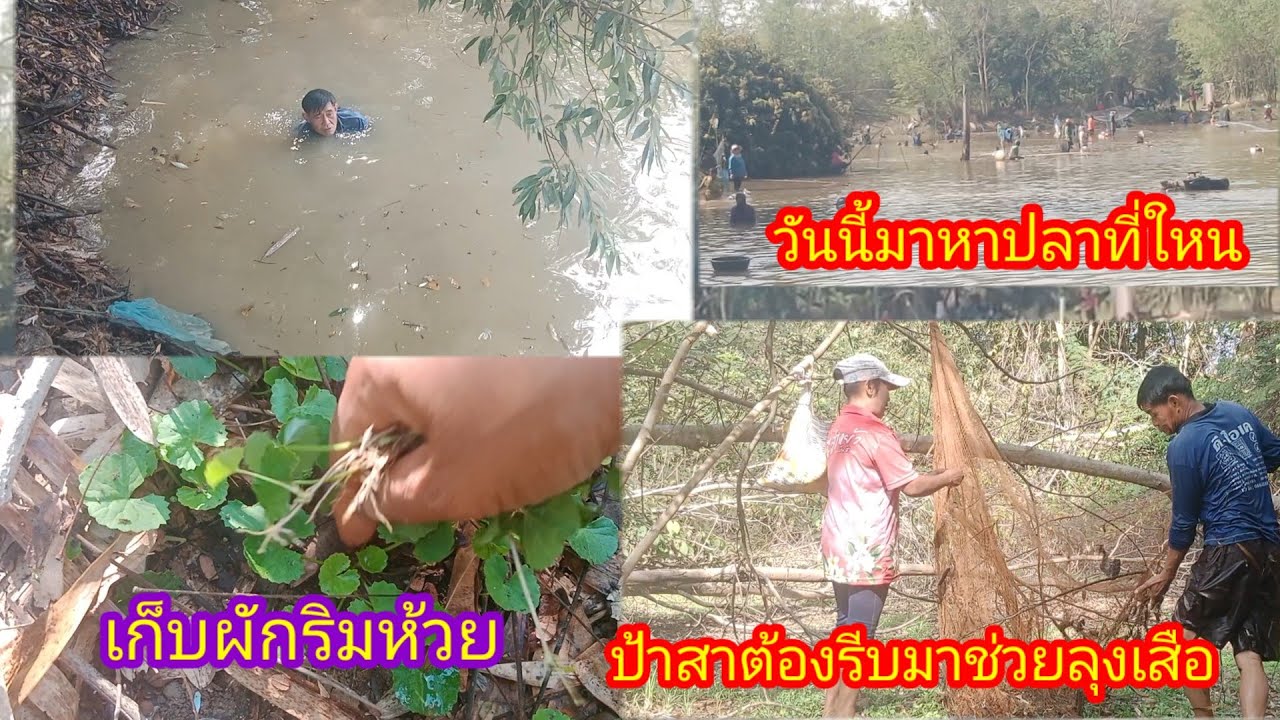 สุดอึ้งมาเจอสิ่งนี้ที่ริมห้วย!!ต้องทำช่วยลุงเสือ!!เยอะขนาดนี้จะใหวใหม