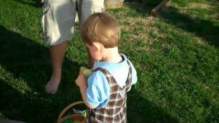 Henry's Easter Egg Hunt        April 2010