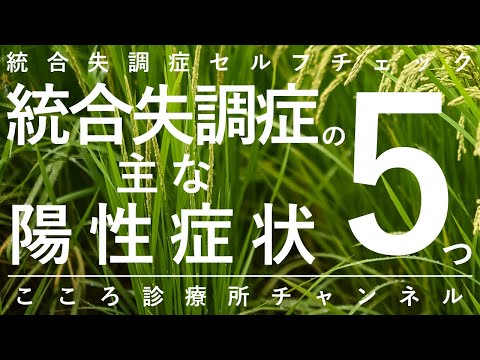 統合失調症の主な陽性症状5つ【幻聴や妄想など急性期で目立つ症状、精神科医が9分で説明】