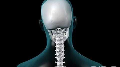 Neck Movement - 3D Medical Animation || ABP ©
