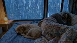 Cozy Rain Beyond the Glass 🌙 Rain on Window, Focus Sounds & Deep Sleep Ambience