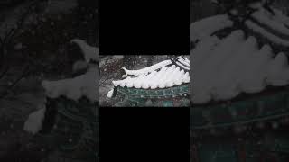 Blizzard Sounds For Sleeping 1 Minute | Snow On Roof For Sleeping, Meditation and Studying