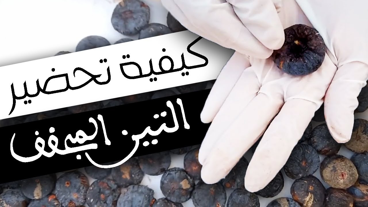 اسهل واسرع طريقة لتجفيف التين الشريحة البلدية -بالصوت-