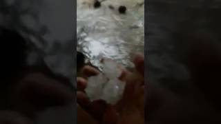 İSTANBUL DA DOLUYA YAKALANAN MUŞ LU GENÇLER