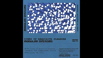 Sines of Exquisite Pleasure — Modular Systems (1982)