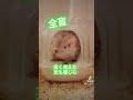 “視覚障害＝全く見えない”ではないのです😳✨