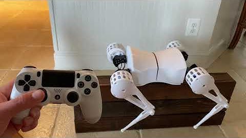 Quadruped Robot Gait Demonstration