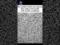 Sabse Gazab Illusion 😵💫 #illusion #viral #shorts
