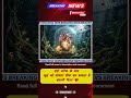 हार्ट अटैक के बाद खुद को दोबारा ठीक कर सकता है इंसानी दिल! ❤️ #news #breakingnews #live #latestnews