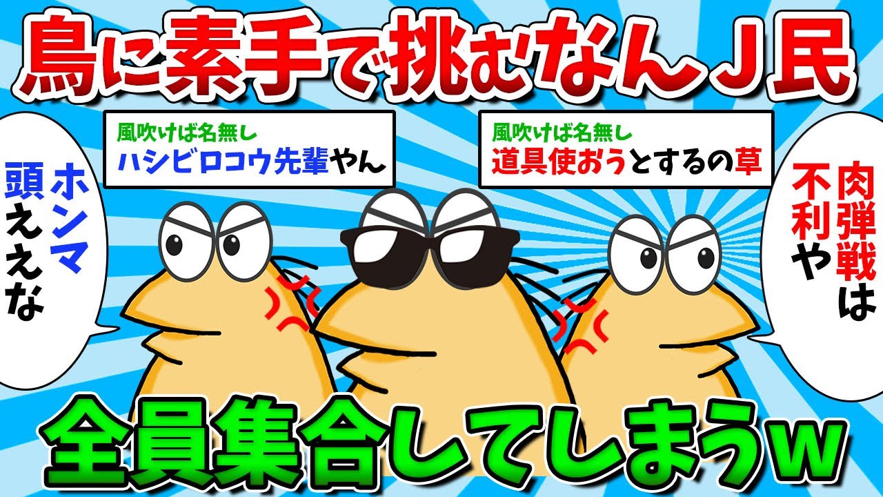 【総集編Part15】鳥や動物たちに素手で挑むなんJ民が大集合した結果www【ゆっくり解説】【作業用】 - YouTube