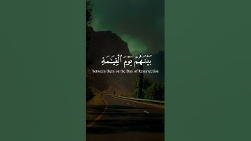 سورة السجدة | الآية ٢٥ تلاوة عبد الرحمن مسعد