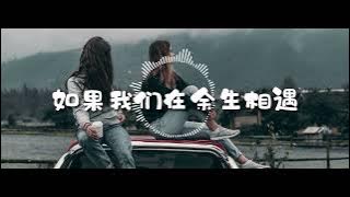 如果我们在余生相遇 · 双子座  - RE-D | 是二哈ya  [ 如果未来碰上伯乐  爱情碰上双子座  它们连在一起我会不会是幸福的。 ] 【动态歌词】