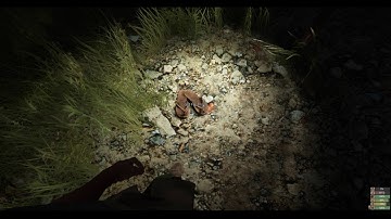 Funny encounter on Miscreated