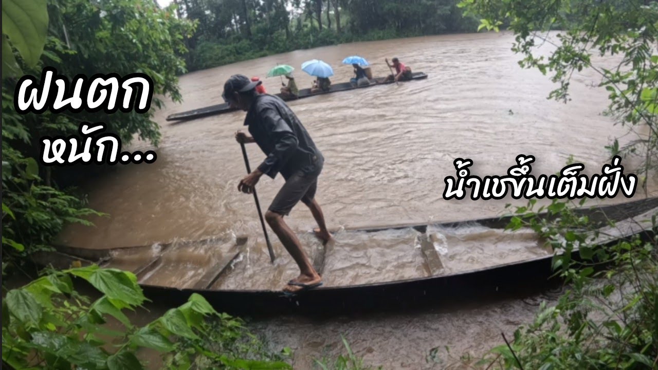 ฝนตกหนักน้ำเชขึ้นหลาย คี่เฮือข้ามไปดำนา8 กรกฎาคม ค.ศ. 2025