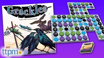 Grackles