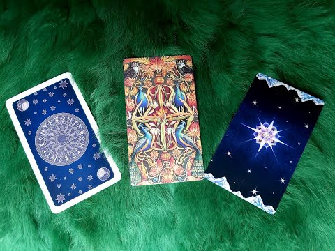 THỨ BA NGÀY 8/11/2022 CỦA BẠN NHƯ THẾ NÀO ? @Evelyn Tarot