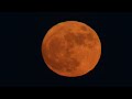 May 30 2026 MicroMoon BlueMoon Filmed With 1800mm Focal Length (600mm + 3X Teleconverter) RME 4965